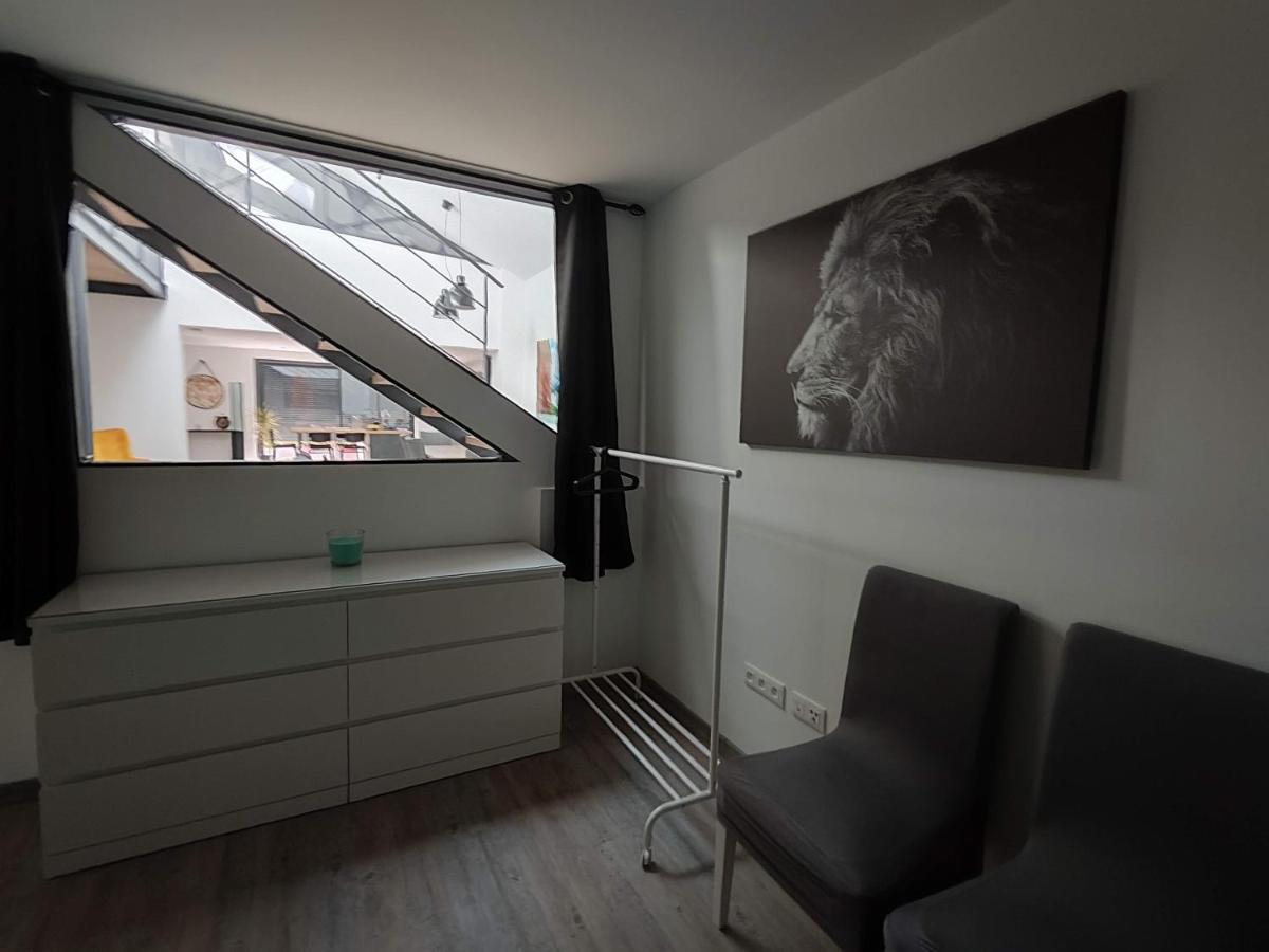 O Loft - 3 Chambres Avec 3 Salles De Bains - Parking - Climatisation Albi Kültér fotó