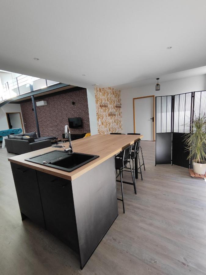 O Loft - 3 Chambres Avec 3 Salles De Bains - Parking - Climatisation Albi Kültér fotó